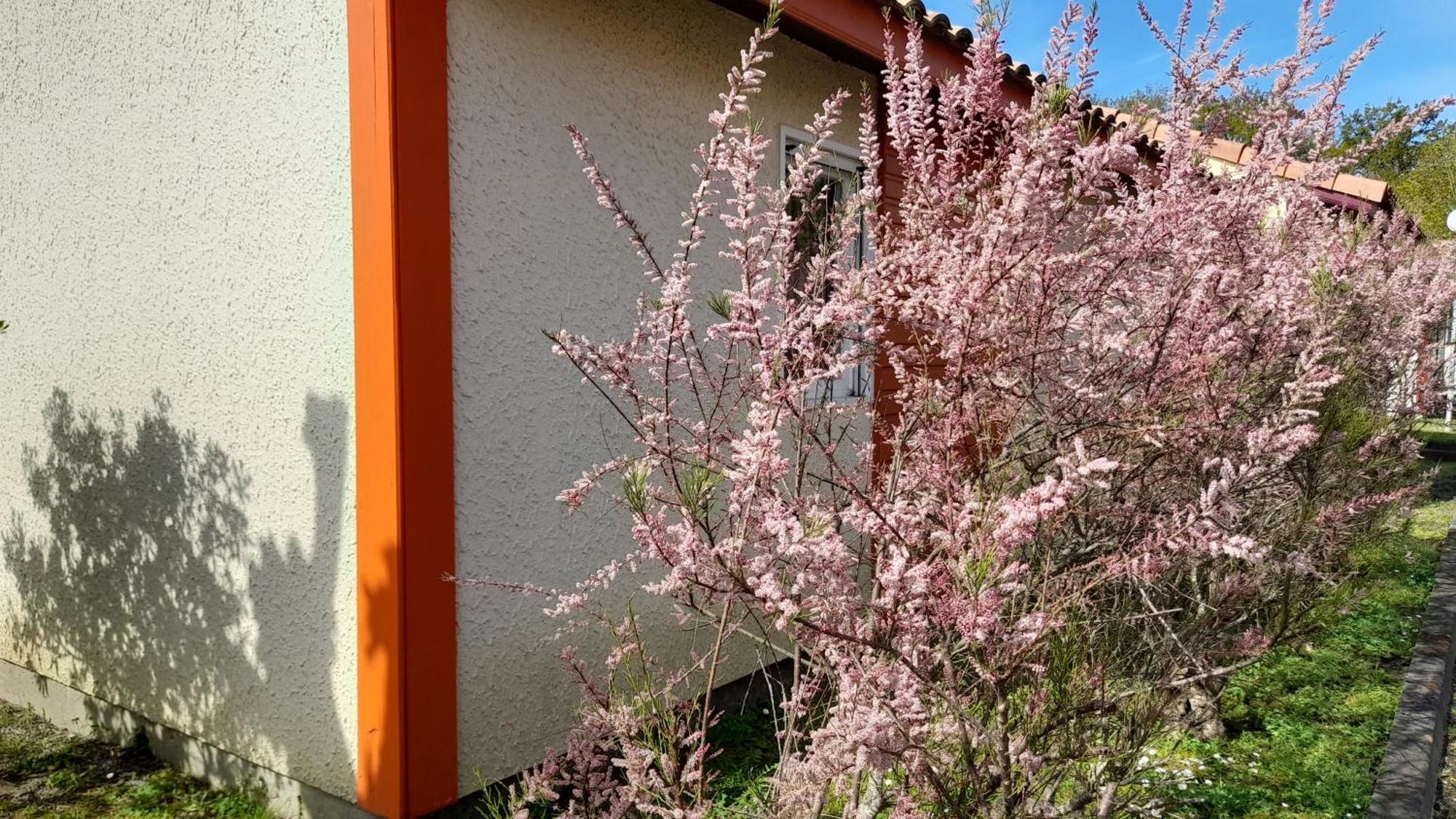 Residence Mes Amours D'Enfants - Les Villas Du Lac 수스톤 외부 사진